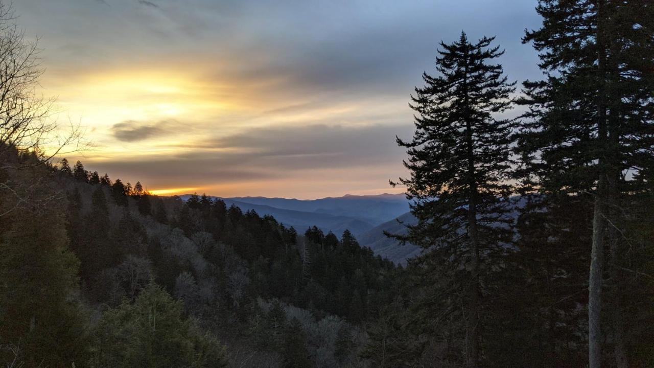 세비어빌 Gorgeous Large Mountain View Cabin W Hot Tub, Free Wifi, Games 빌라 외부 사진